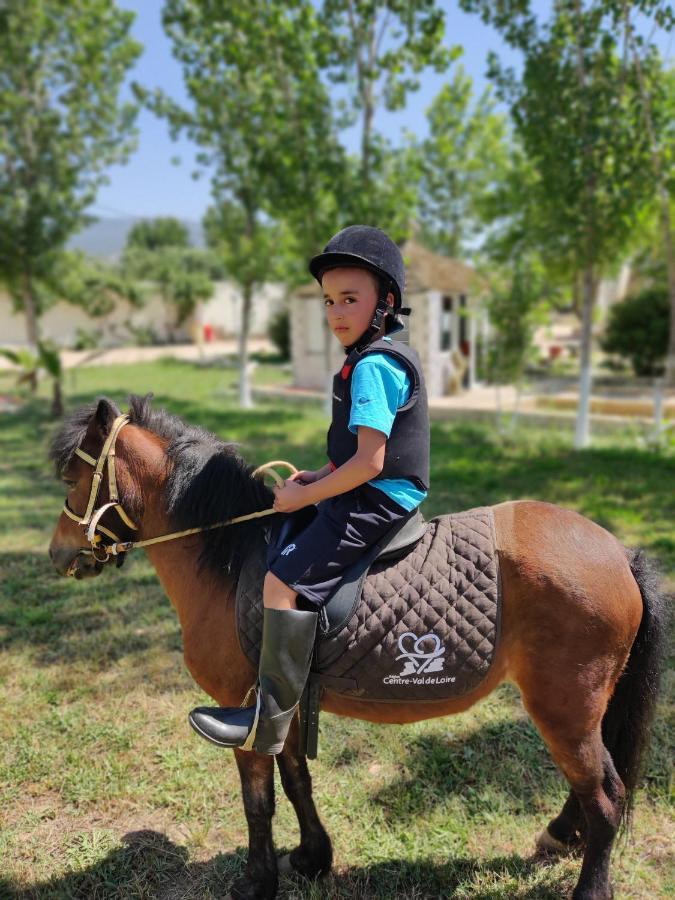 Le Vallon Vert - Club Equestre アズルー エクステリア 写真